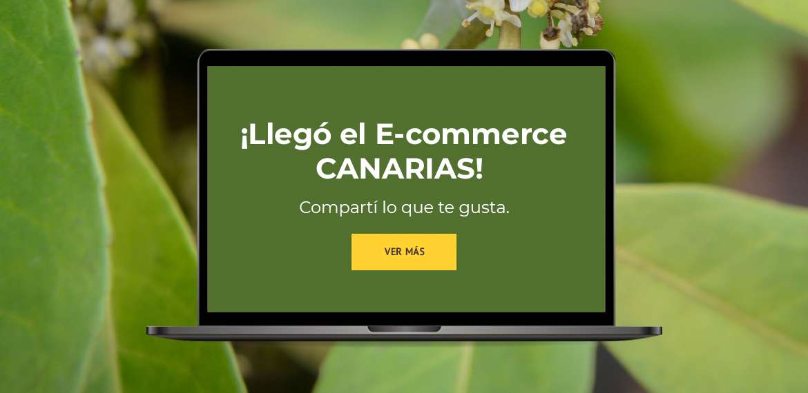 ¡Llegó el e-commerce <span>CANARIAS!</span>